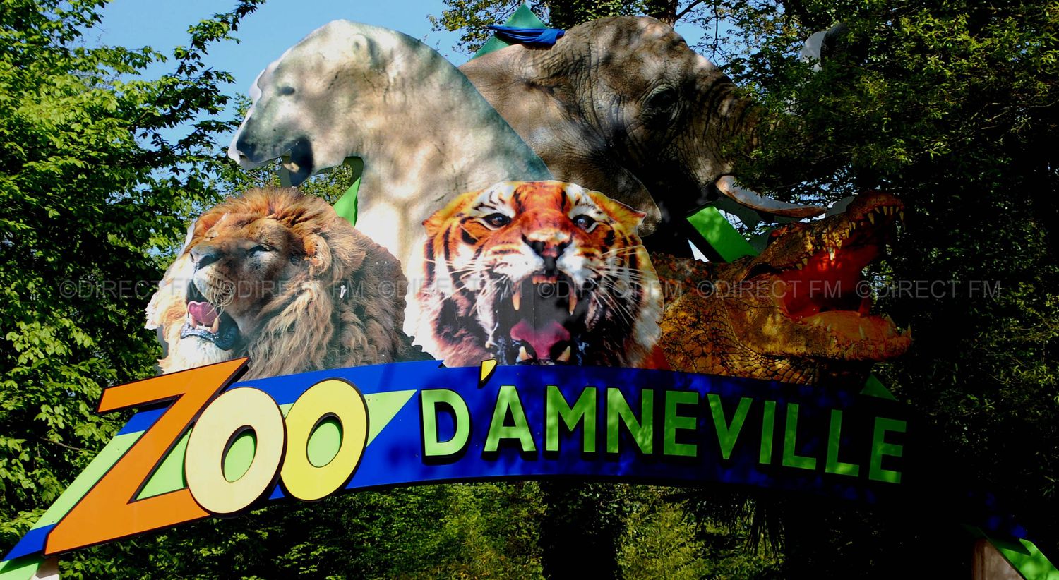 L'animal était arrivé en Moselle à l'âge à ses 5 ans